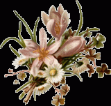 th_flowersqi2.gif, 43 KB